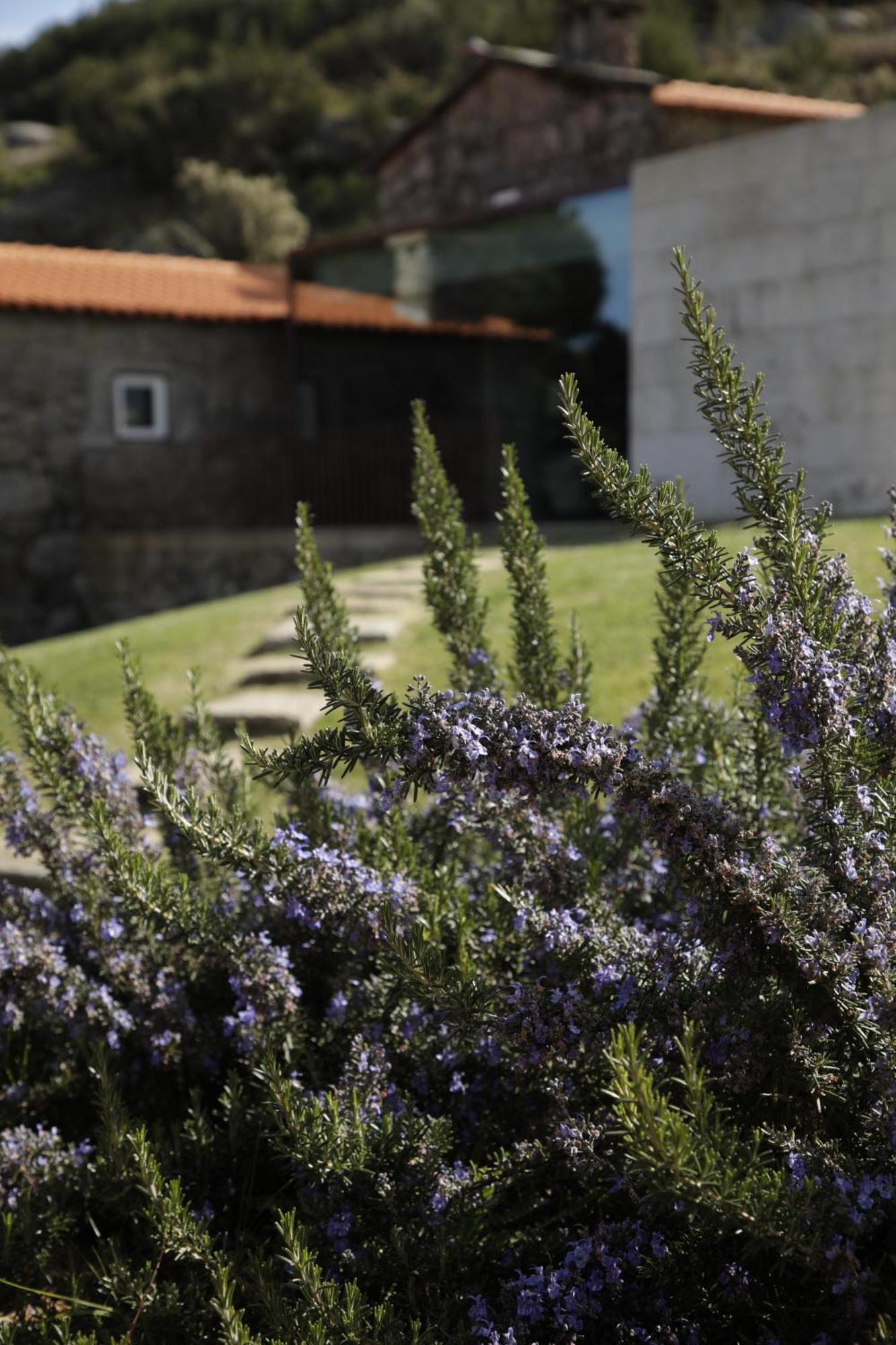 Geres - Leiras Do Tempo - Cottages Brufe Exteriör bild